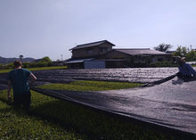 Charger l'image dans la galerie, Thé Matcha (Premium Grade) - (30g)